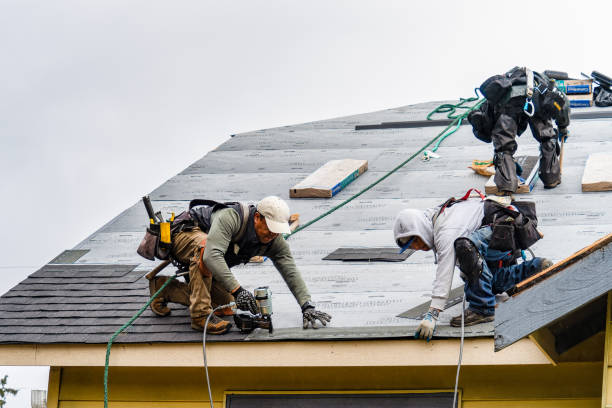 Professional Roofing technician working in Albion, NY